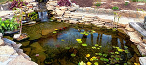 La conception et la réalisation d'un bassin de jardin